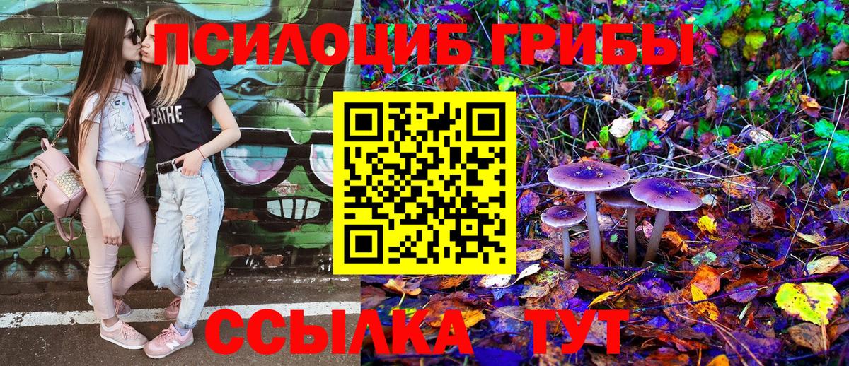 Галлюциногенные грибы Magic Shrooms Курган