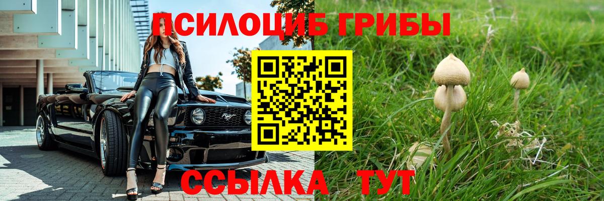 Галлюциногенные грибы мухоморы  Вход с VPN  Курган 